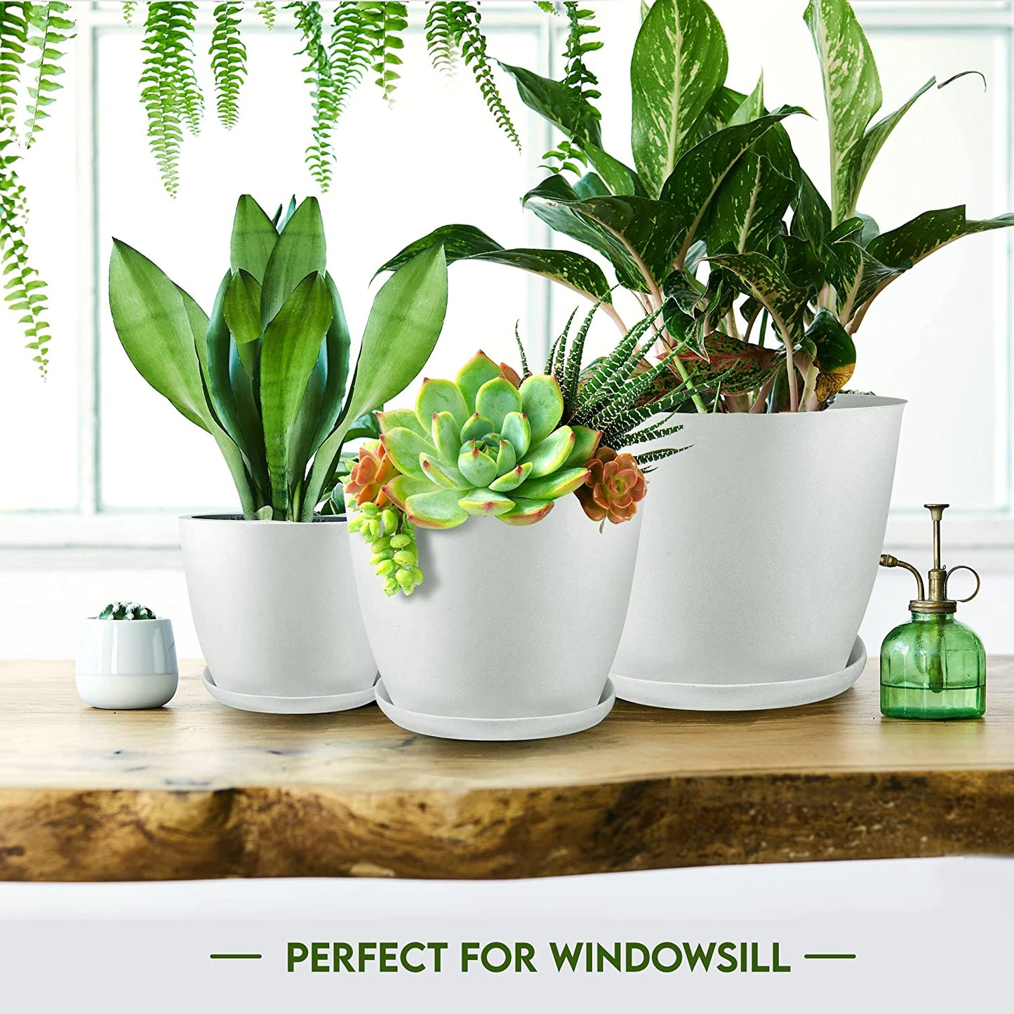 Premium Set of 10 Indoor Plant Pots with Drainage Decorative Plastic Planters for Indoor